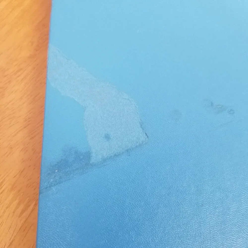Blueline vintage ledger